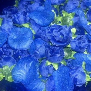 Something blue before I do decorations. Blue plastic bowl. Blue roses and petals